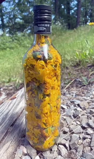 Céline PERPIGNA Praticien de médecine alternative à Aubignan Arnica Macerat Huileux Céline PERPIGNA Praticien de médecine alternative à Aubignan Arnica Macerat Huileux