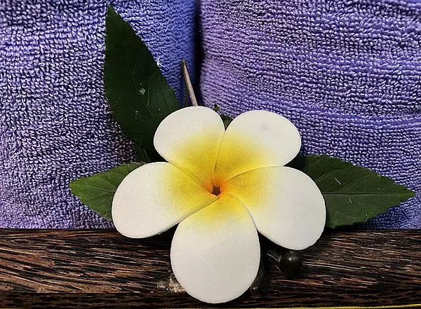 Céline PERPIGNA Praticien de médecine alternative à Aubignan Céline PERPIGNA Praticien de médecine alternative à Aubignan