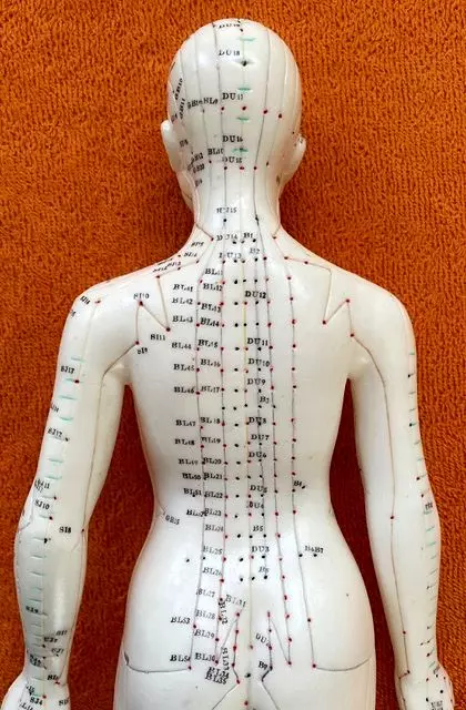 Céline PERPIGNA Praticien de médecine alternative à Aubignan Céline PERPIGNA Praticien de médecine alternative à Aubignan