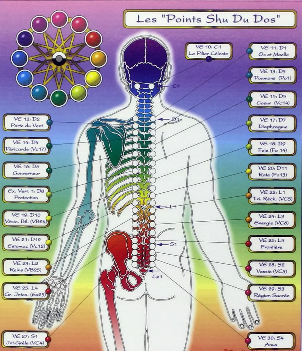 Céline PERPIGNA Praticien de médecine alternative à Aubignan Céline PERPIGNA Praticien de médecine alternative à Aubignan